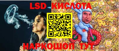 молекула духа Будённовск