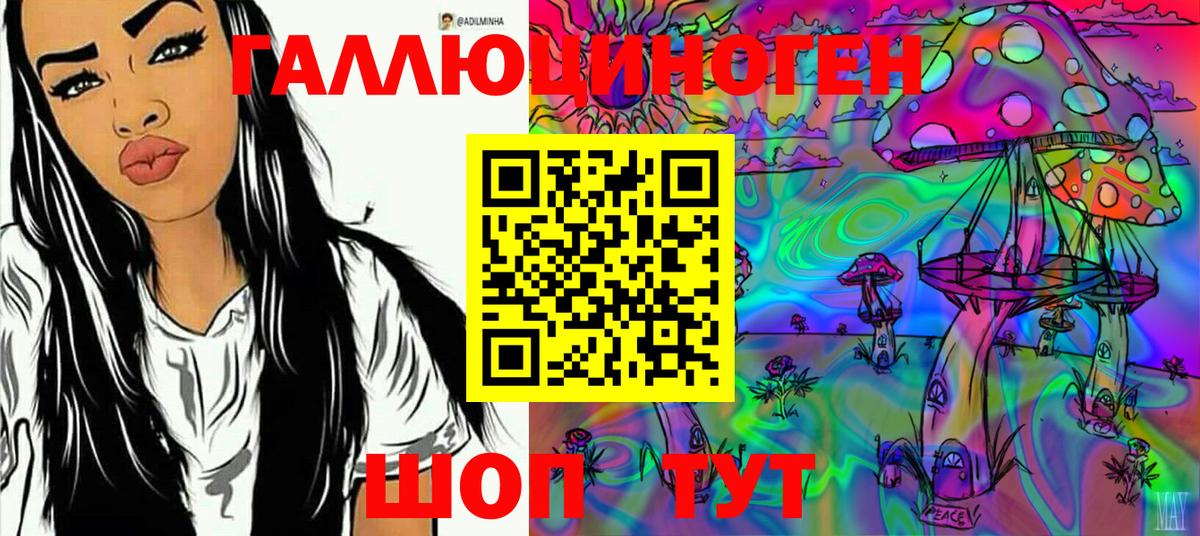 Псилоцибиновые грибы Psilocybe  Новосибирск 