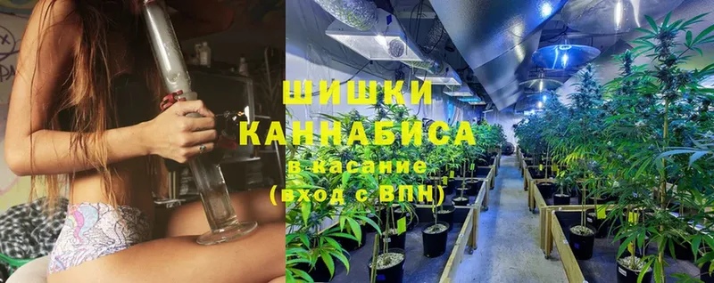 Марихуана Bruce Banner  Новосибирск 